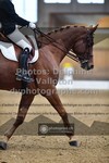 ref. photo 3368699