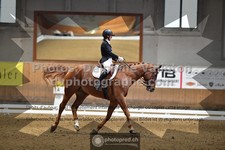 ref. photo 3368710