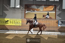 ref. photo 3368727