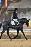 ref. photo 3368768