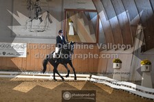 ref. photo 3368804
