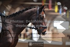 ref. photo 3368817