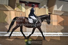 ref. photo 3368832