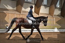 ref. photo 3368834