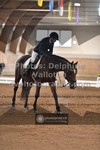 ref. photo 3368844
