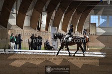 ref. photo 3368851