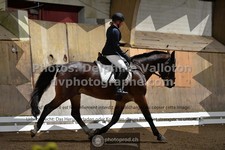 ref. photo 3368860