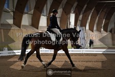 ref. photo 3368862