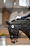 ref. photo 3368916