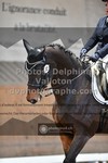 ref. photo 3369001
