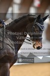 ref. photo 3369002