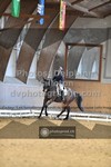 ref. photo 3369003