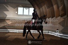 ref. photo 3369031
