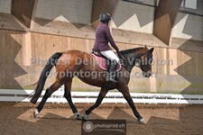 ref. photo 3369041