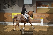 ref. photo 3369061