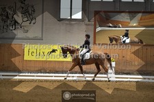 ref. photo 3369063