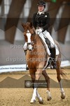 ref. photo 3369069
