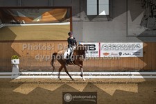 ref. photo 3369078