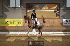 ref. photo 3369080
