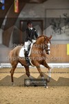 ref. photo 3369083