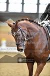ref. photo 3369096