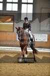 ref. photo 3369109