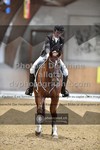 ref. photo 3369129