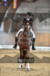 ref. photo 3369130
