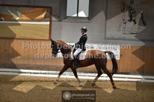 ref. photo 3369140