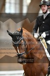 ref. photo 3369176