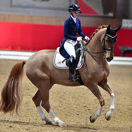 CD Bern Feb-Marz 2026