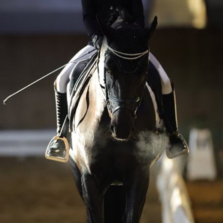 CD Bern RBII 08.11.2025