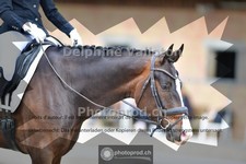 ref. photo 4055107