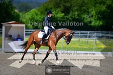 ref. photo 4055132