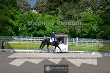 ref. photo 4055889