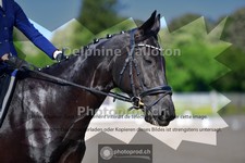ref. photo 4055942