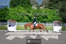 ref. photo 4056458