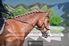 ref. photo 4056464