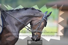 ref. photo 4057018