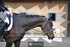 ref. photo 4057047