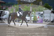 ref. photo 3148391