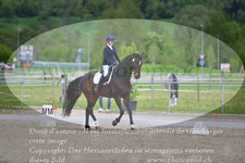 ref. photo 3148401