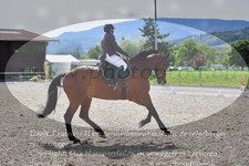 ref. photo 3148468