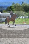 ref. photo 3148472