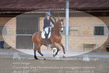 ref. photo 3148488