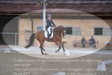 ref. photo 3148495