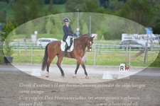 ref. photo 3148499