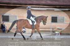 ref. photo 3148501