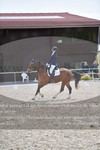 ref. photo 3148560