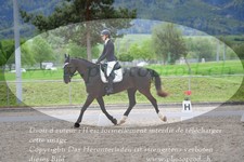 ref. photo 3148608